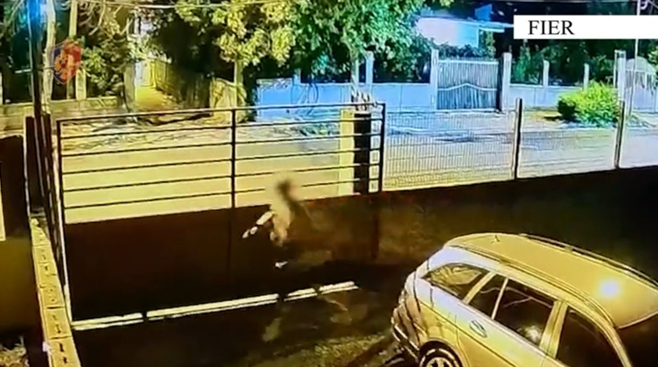 Fier/ Zbardhen disa raste të vjedhjes së banesave.