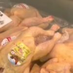 MISH PULE NGA TAJLANDA NË SHQIPËRI, RAPORTI I BE NGRE ALARMIN PËR KONTROLLET.