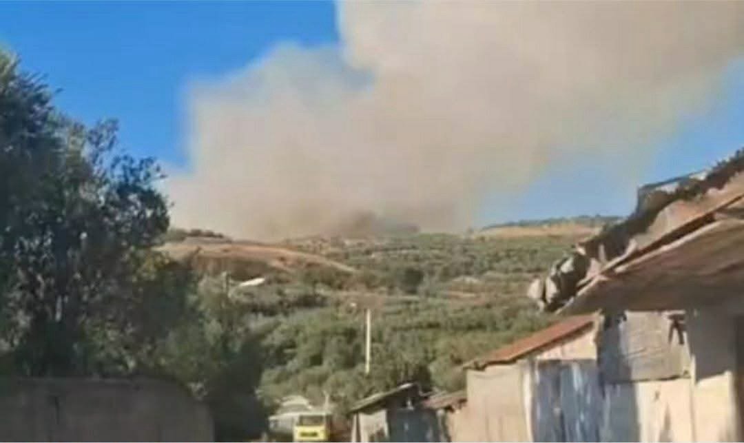 Zjarr i fuqishëm në Kreshpan, në rrezik pylli me pisha