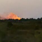 Një zjarr masiv ka përfshirë që prej mesditës zonën bregdetare në afërsi të pyllit të Semanit