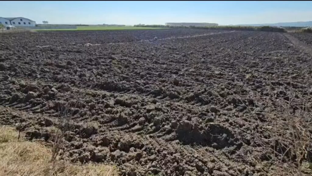 FERMERËT E MYZEQESË NISIN PLUGIMIN E TOKAVE PËR MBJELLJET E VJESHTËS