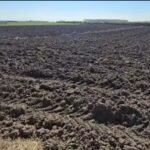 FERMERËT E MYZEQESË NISIN PLUGIMIN E TOKAVE PËR MBJELLJET E VJESHTËS