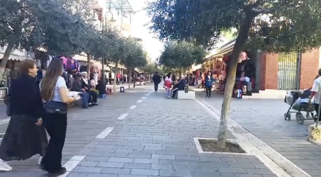 BIZNESI I VOGËL NE FIER,BETEJË PËR MBIJETESË.