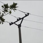 Reshjet e dendura të shiut në Fier, pa energji dhjetëra fshatra.