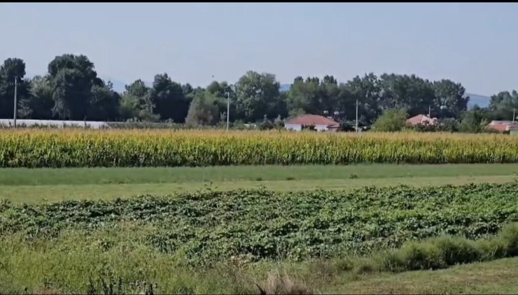 Vjeshta sjell shiun e shumëpritur, frymëmarrje e re për bujqësinë.