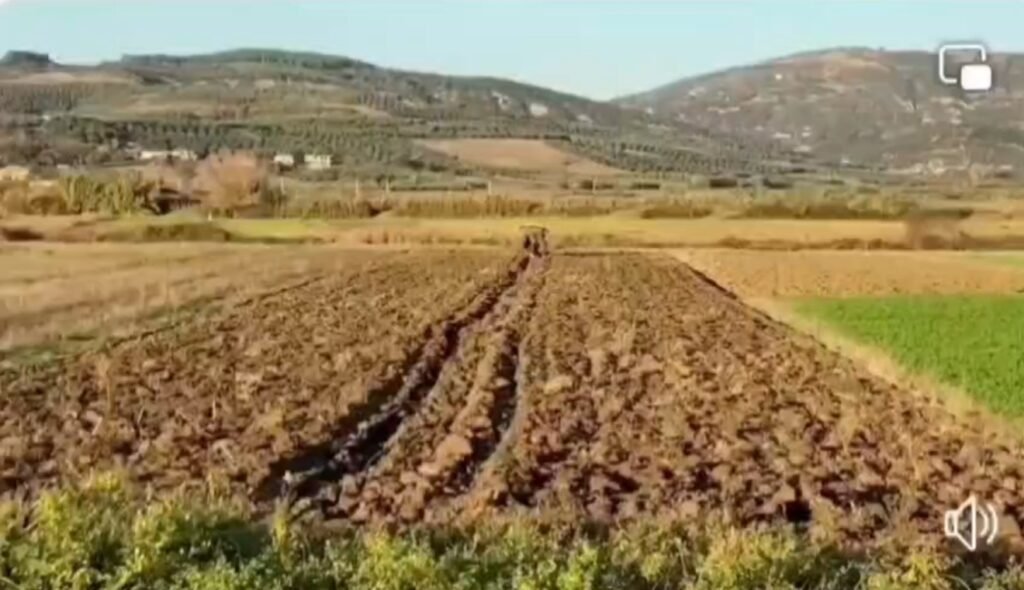 Kostot e larta rëndojnë fermerët, subvencionimi i naftës mbetet i domosdoshëm.