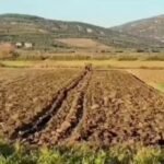 Kostot e larta rëndojnë fermerët, subvencionimi i naftës mbetet i domosdoshëm.