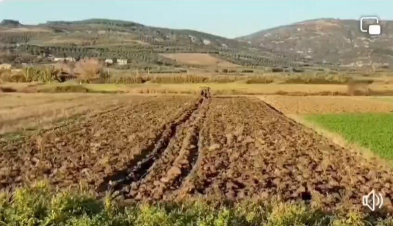 Kostot e larta rëndojnë fermerët, subvencionimi i naftës mbetet i domosdoshëm.