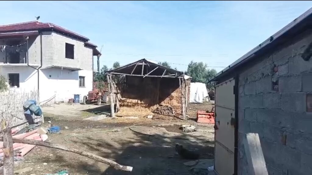 BLEGTORIA NË SEMAN, NË RREZIKUN E FALIMENTIMIT.
