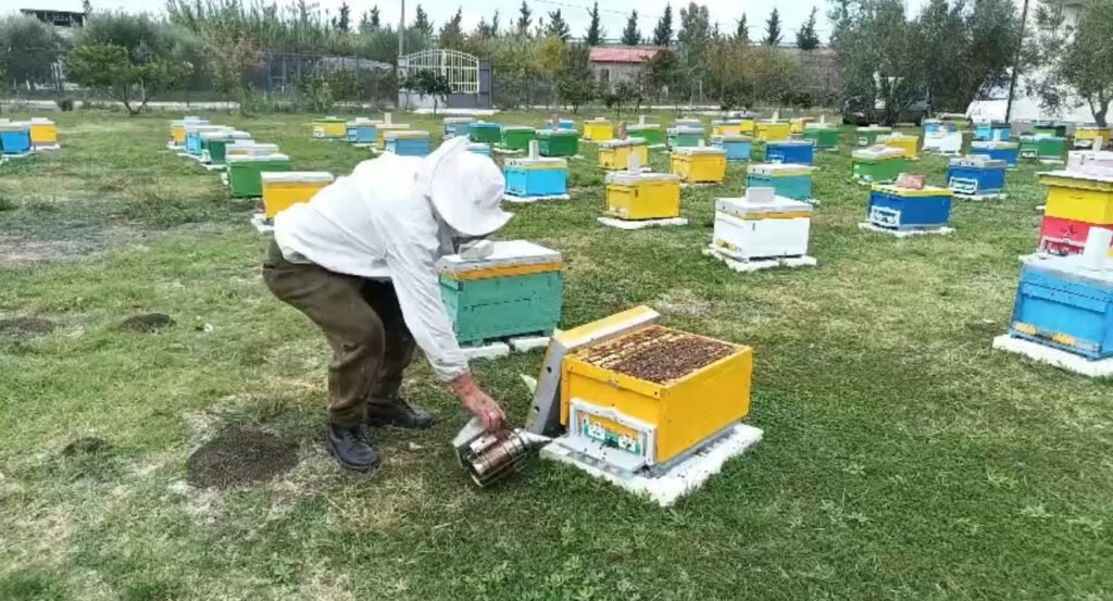 BLETËRRITËSIT PËRGATITEN PËR DIMËRIMIN E BLETËVE