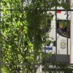 Prokuroria e Fierit dërgon për gjykim Emanilda dhe Valbona Ramën. Vajza vrau babanë, gruaja tentoi të mbulonte krimin