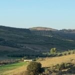 90 % të fondit të tokës bujqësore e kanë të kultivuar me ullinj që përbën të ardhurat kryesore për familjet fermere.