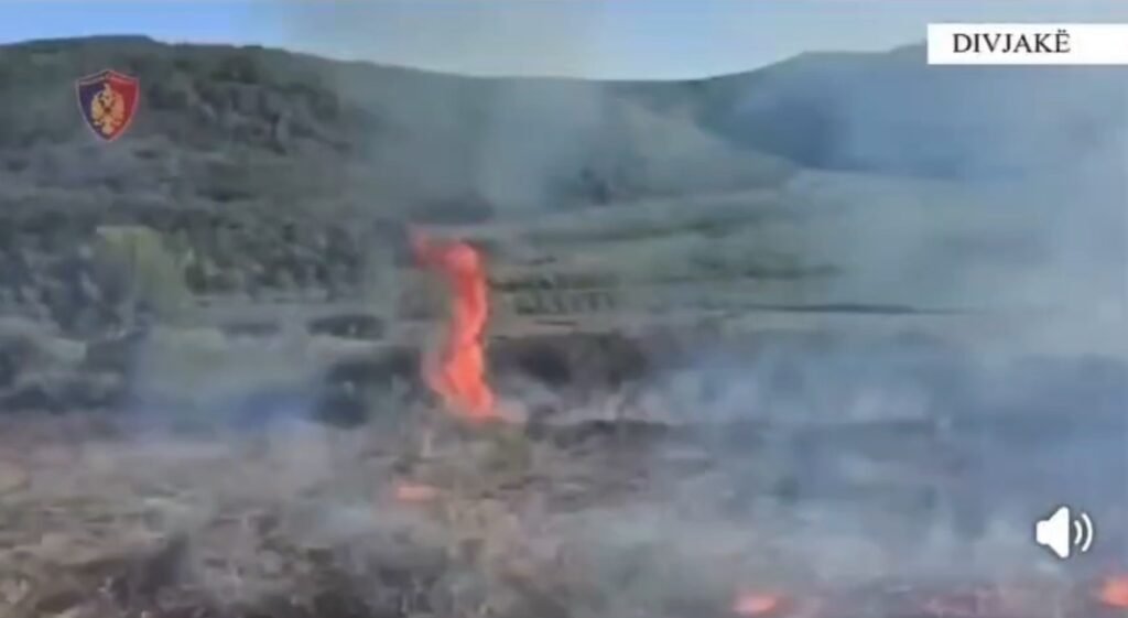 Rrezikoi djegien e pyllit në Divjakë, kapet në flagrancë 29-vjeçari nga Kryekuq. Rrezikoi djegien e pyllit në Divjakë, kapet në flagrancë 29-vjeçari nga Kryekuq.