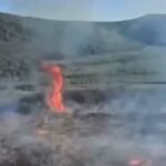 Rrezikoi djegien e pyllit në Divjakë, kapet në flagrancë 29-vjeçari nga Kryekuq.