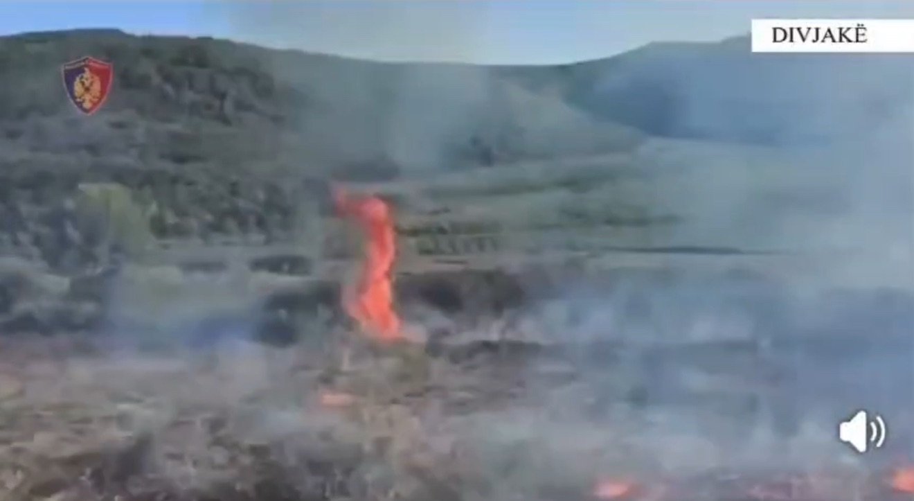 Rrezikoi djegien e pyllit në Divjakë, kapet në flagrancë 29-vjeçari nga Kryekuq.